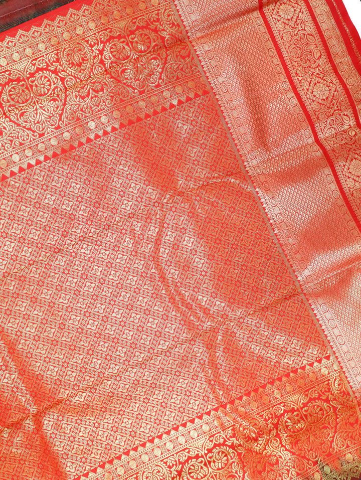 Art Tana Tissue Resham Saree