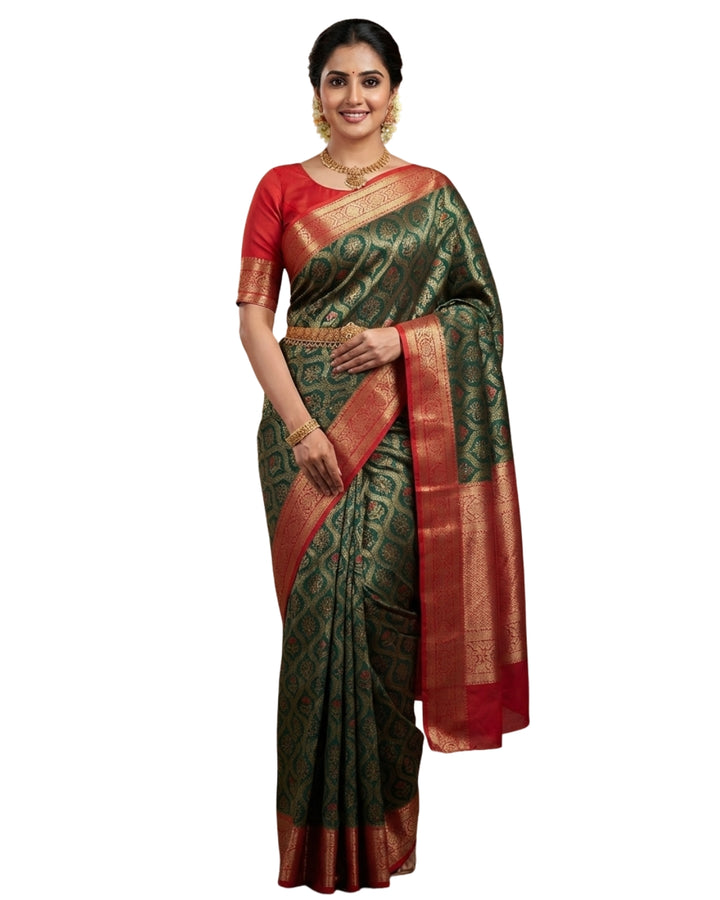 Art Tana Tissue Resham Saree